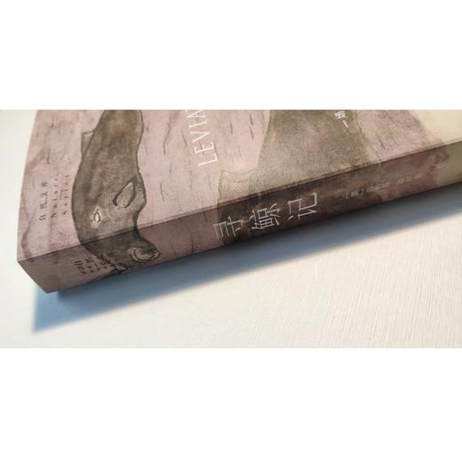 寻鲸记（自然文库） 商品图4