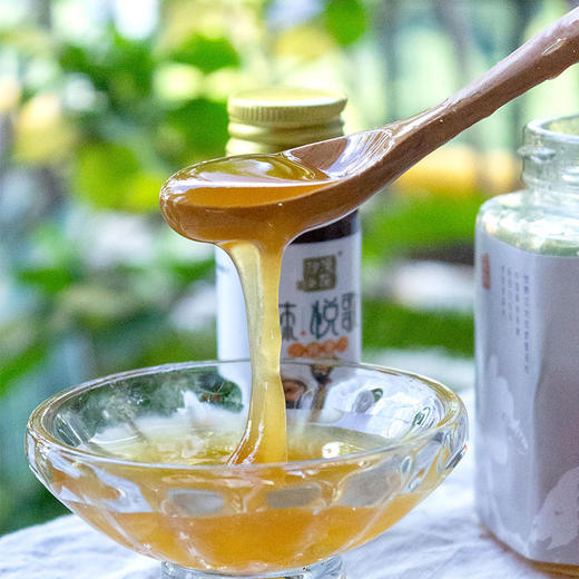 【秦岭野生蜂蜜500g/瓶】秦岭大巴山深处的野生百花药蜜 每年只收割一次 每一滴蜜都来之不易 商品图7