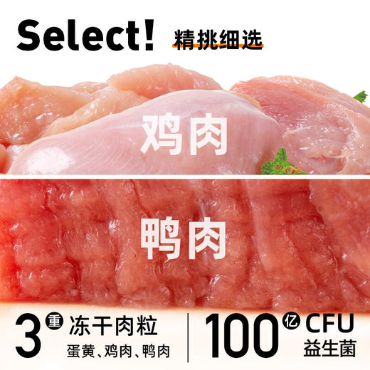 豆柴（docile）冻干三拼成犬狗粮添加有益菌蛋黄鸡肉鸭肉粒泰迪比熊柯基金毛小中大型全价通用无谷粮1.5kg 商品图1