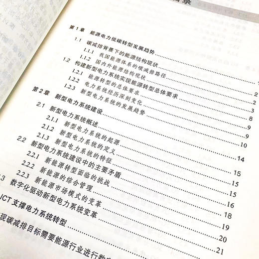 新型电力系统ICT应用与实践 5G电力光网络物联网大数据通信能源自动化数字化 云架构云网融合网络* 商品图3