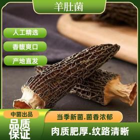 羊肚菌云南特产干货包邮50g