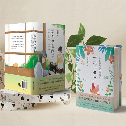 名家中学生散文读本:全四册 汪曾祺梁晓声陈忠实丁立梅散文套装 商品图5