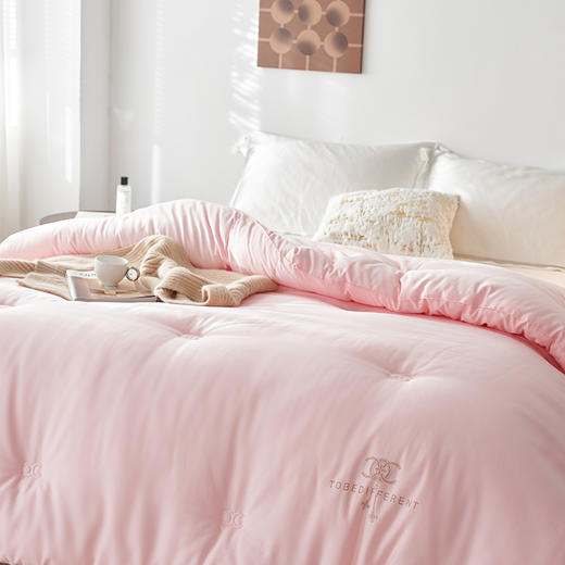 自然醒小香风烫钻绣花立体冬被 保暖亲肤秋冬被芯双人加厚冬季被子LFS 商品图1