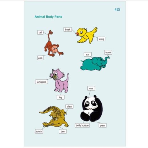 外研社少儿英汉汉英词典(第二版)(点读版) 商品图4