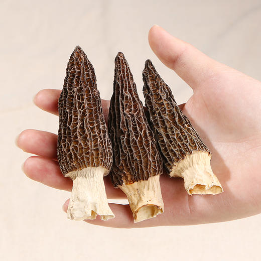 【菌菇套餐】拾菌汤包*2+竹荪50g+羊肚菌50g 商品图6