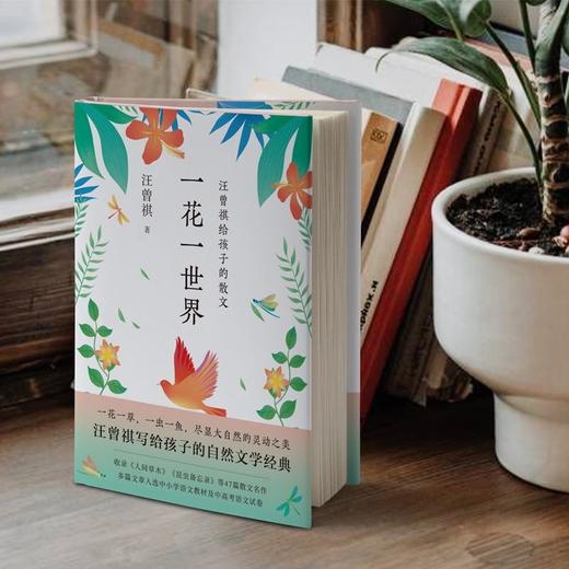 名家中学生散文读本:全四册 汪曾祺梁晓声陈忠实丁立梅散文套装 商品图1