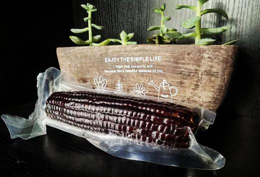 【臻选推荐】马老面鲜食玉米  9支装/箱    黄糯玉米 / 黑糯玉米 商品图2