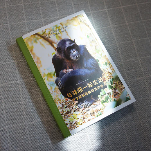 与菲菲一起生活：野生黑猩猩教会我的事（我的动物朋友） 商品图2