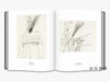 The Essential Cy Twombly /必不可少的塞·托姆布雷 商品缩略图1