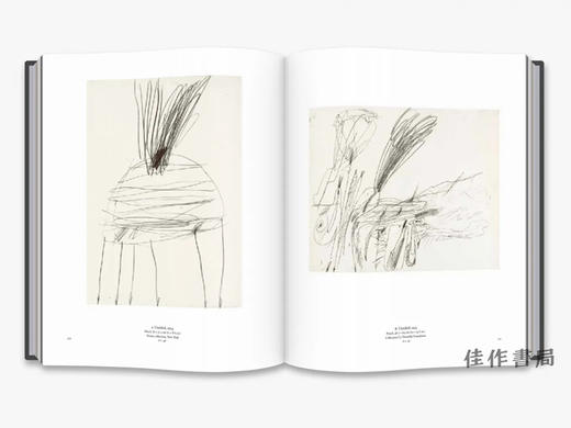 The Essential Cy Twombly /必不可少的塞·托姆布雷 商品图1