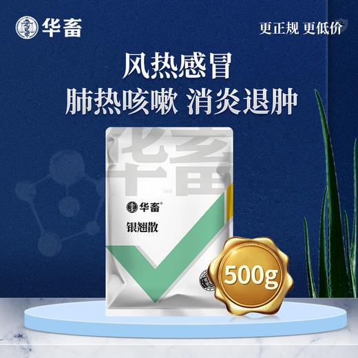 华畜兽用 银翘散500g 风热感冒咳嗽 消炎退肿 禽畜用中兽药 呼吸道 支原体 商品图0