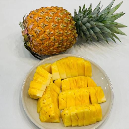 芒果凤梨🍍（只） 商品图0