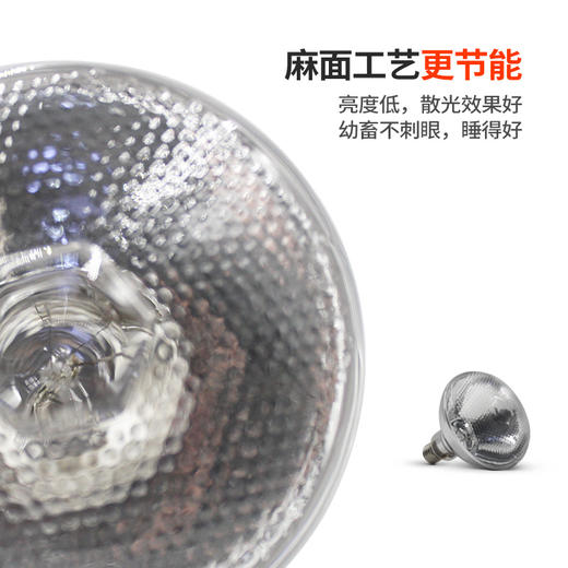 华畜 养殖保温灯 加热快 喷水不爆 可调温度 加热取暖灯 小鸡仔猪育雏保温灯 商品图8