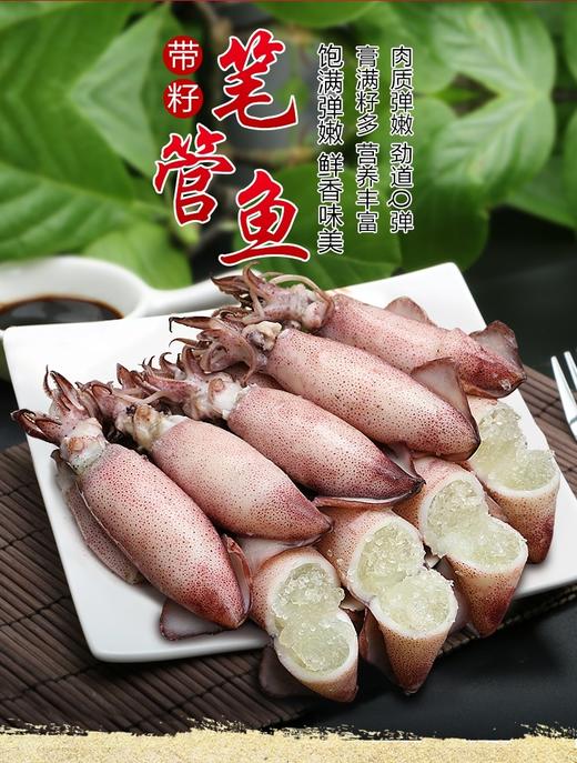 全母满籽籽乌 笔管鱿鱼 商品图0
