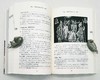 《希腊罗马神话小百科》，曹乃云著，上海辞书出版社2019年版，560页，定价75，售价32元。 商品缩略图9