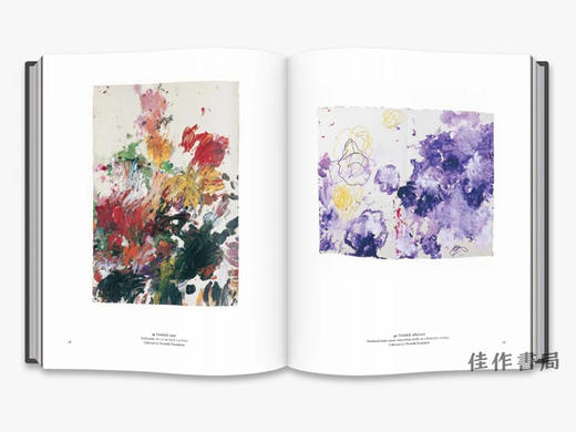 The Essential Cy Twombly /必不可少的塞·托姆布雷 商品图3