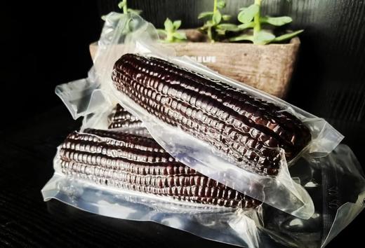 【臻选推荐】马老面鲜食玉米  9支装/箱    黄糯玉米 / 黑糯玉米 商品图4