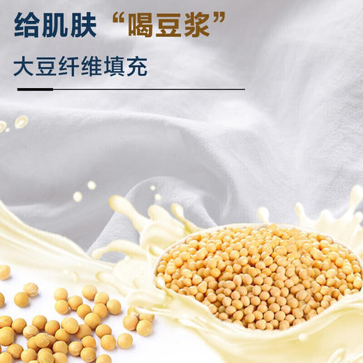 罗莱家纺床上用品被子被芯春秋被四季被50%大豆纤维被单舒柔大豆纤维被1.5米/1.8米床 200*230cm 商品图4