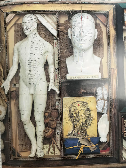 牛津医学指南 数百幅插图 精装16开 商品图7