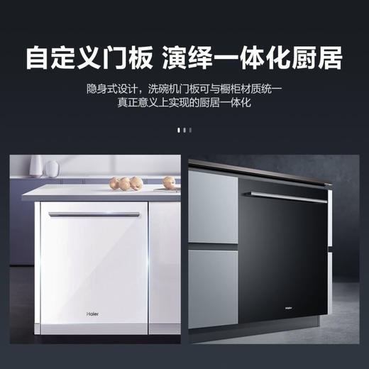 海尔（Haier）洗碗机 EYW13029D自定义面板 商品图2