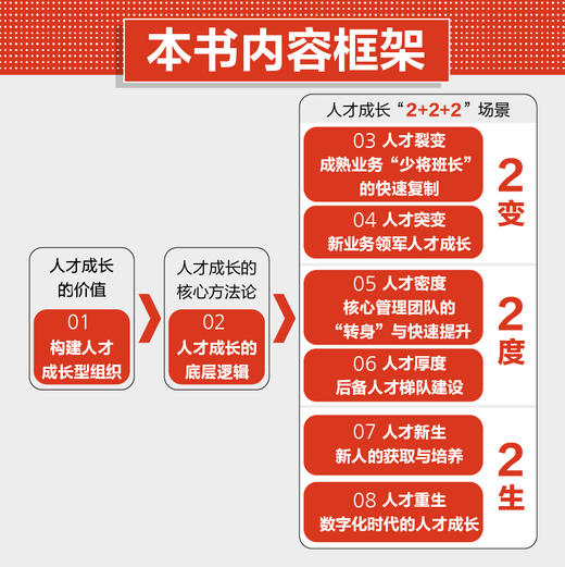 华为如何培养人：发现精兵、提拔干将、持续增长 范金著华为人才管理培训企业管理人力资本人才成长绩效HR 商品图2