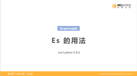 【语法】Es 的用法丨L5-6