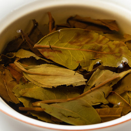 曦白云南白茶【景迈古树白茶】一饼357克2022年 商品图5