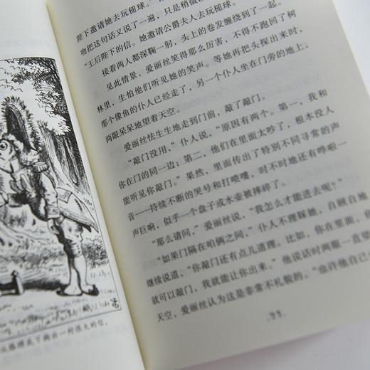 爱农译童书（第一辑全8种，共16册）赠品：译者签名书签、设计师布提袋数量有限，赠完为止。 商品图6