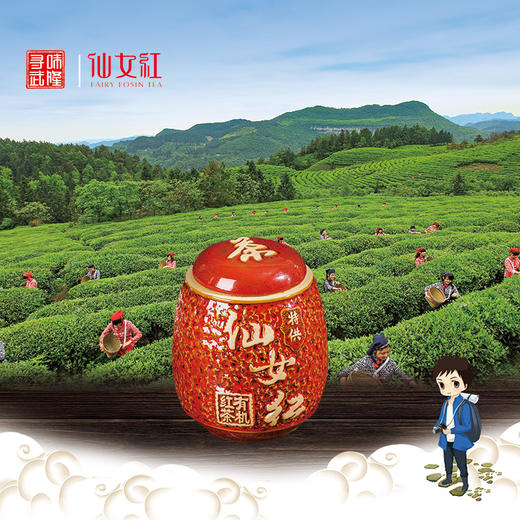 武隆仙女红高山茶 商品图0