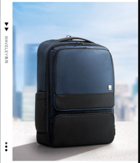 新秀丽WAVELEY系列双肩包QK9*001