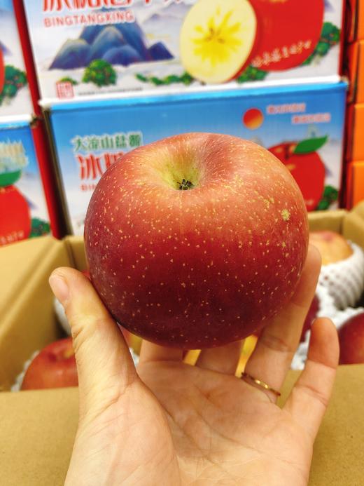 大凉山苹果一箱（拼团） 商品图2