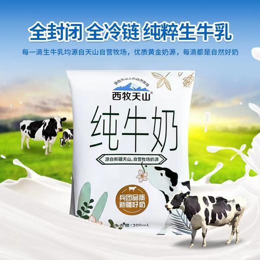 西牧天山新疆纯牛奶袋装纯奶整箱儿童学生营养早餐奶200ml*20袋 商品图1