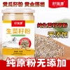 （小马专属，测试勿拍）籽瑞康果蔬籽粉，黄瓜籽营养复合粉/生菜籽粉植物粉无添加，低温烘焙制熟，粉质细腻易吸收，全国包邮（偏远地区云南、贵州、甘肃、宁夏、广西、青海、内蒙、海南+5元运费，新疆、西藏不发） 商品缩略图8