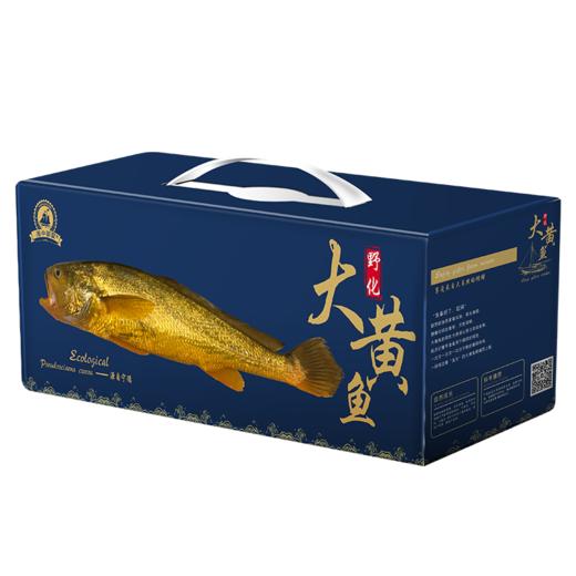 海中御宴Y6·福泰安康深海野化大黄鱼（现货捕捞发货，具体发货时间以捕捞情况为准，介意慎拍） 商品图2