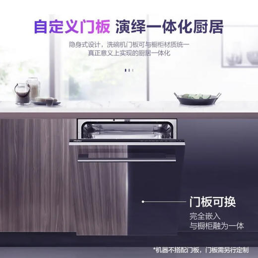 海尔（Haier）洗碗机 EYW13029T自定义门板 商品图5