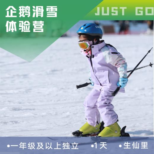 杭州专场定制 | 企鹅滑雪体验营【生仙里站】・2022 商品图0