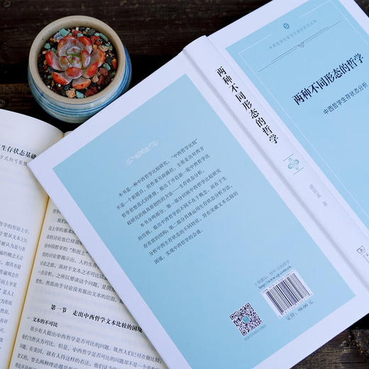 两种不同形态的哲学——中西哲学生存状态分析(中西哲学比较与文明史研究) 俞宣孟 著 商务印书馆 商品图7