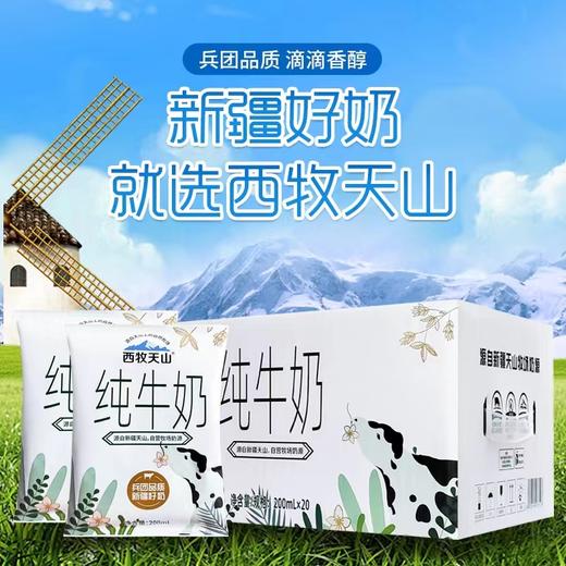 西牧天山新疆纯牛奶袋装纯奶整箱儿童学生营养早餐奶200ml*20袋 商品图2