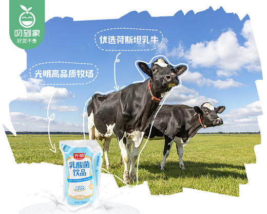 光明乳酸菌饮品轻巧包（原味）/1箱（180ml*12袋）生产日期：12月8日左右 商品图1