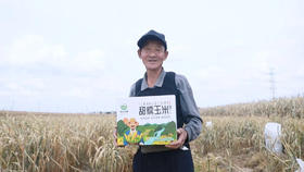  即使被世界冷落，向阳生长的玉米依旧有温度丨文末福利 