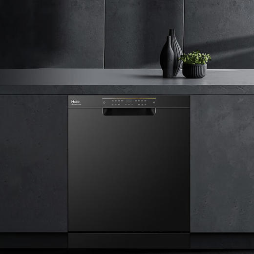 海尔（Haier）洗碗机 EYBW13228BKU1 商品图2