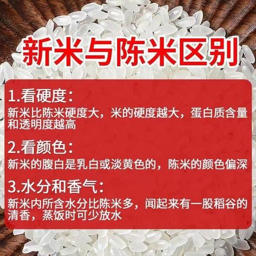 十月稻田大米5KG 东北长粒香米 商品图5