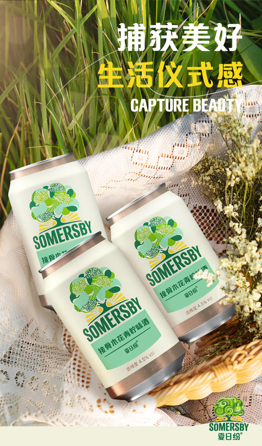 【专享】Somersby夏日纷混合口味酒330*12罐整箱（口味可选择） 商品图3
