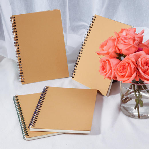 齐心 C4161 纯时代双螺旋装订本 B5 60张 线圈笔记本双铁圈记事本记事簿 商品图2