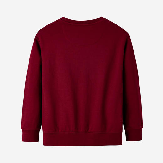 LEVIS 秋 大童  小童 卫衣 LVN-FW-G113 商品图1