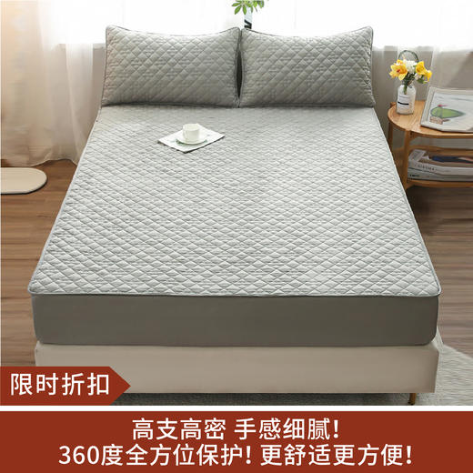 【限时折扣】防螨夹棉席梦思床垫罩 商品图0