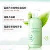 雅顿绿茶身体乳润肤乳滋润保湿清爽500ml 身体乳清新留香 商品缩略图5