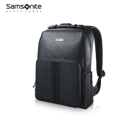 新秀丽LEGENDA高端商务双肩包NQ8*001 商品图1