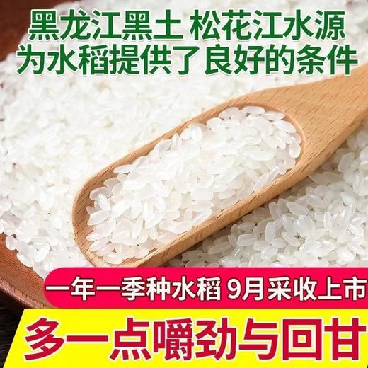 十月稻田大米5KG 东北长粒香米 商品图3