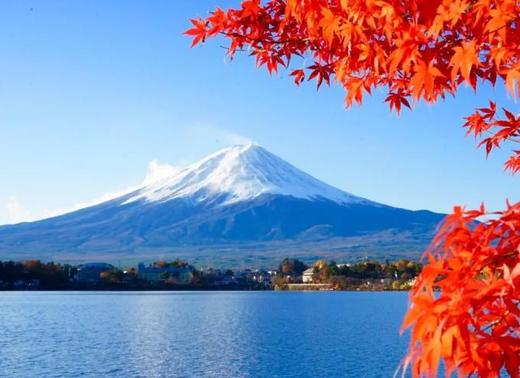 日本3个月单次探亲访友签证北京送签 商品图4